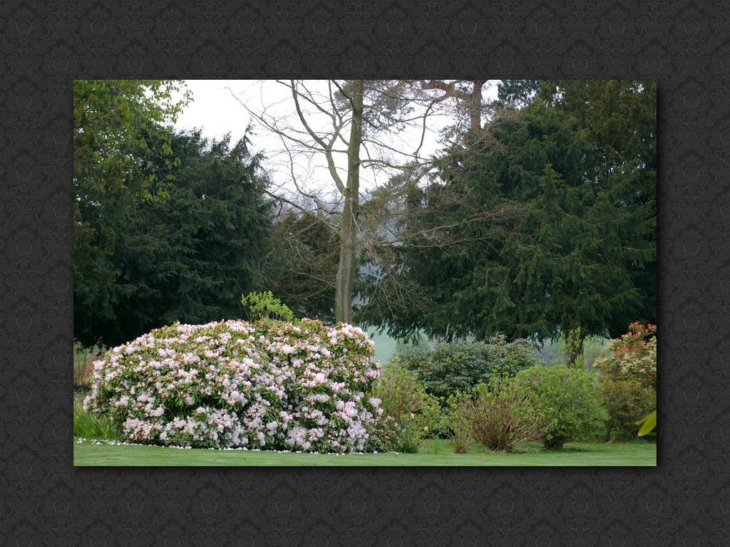 Langrish House Bed and Breakfast Πίτερσφιλντ Εξωτερικό φωτογραφία