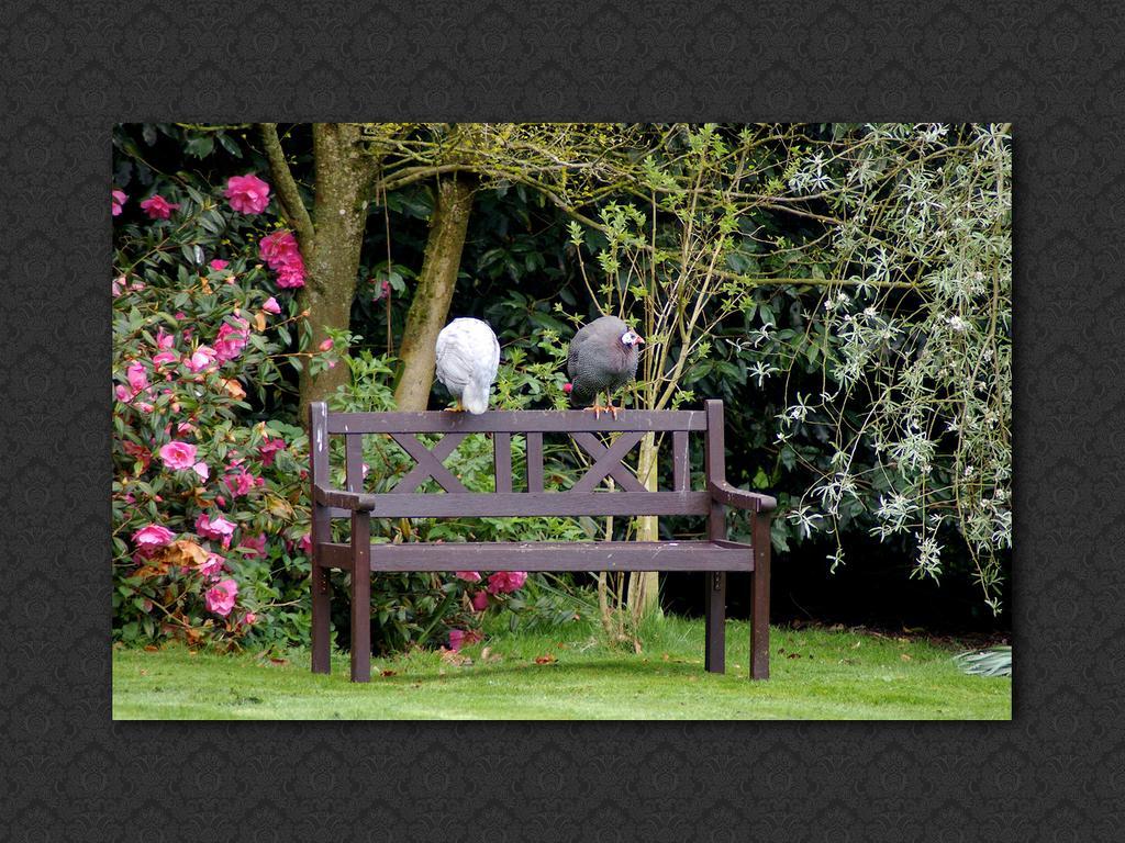 Langrish House Bed and Breakfast Πίτερσφιλντ Εξωτερικό φωτογραφία