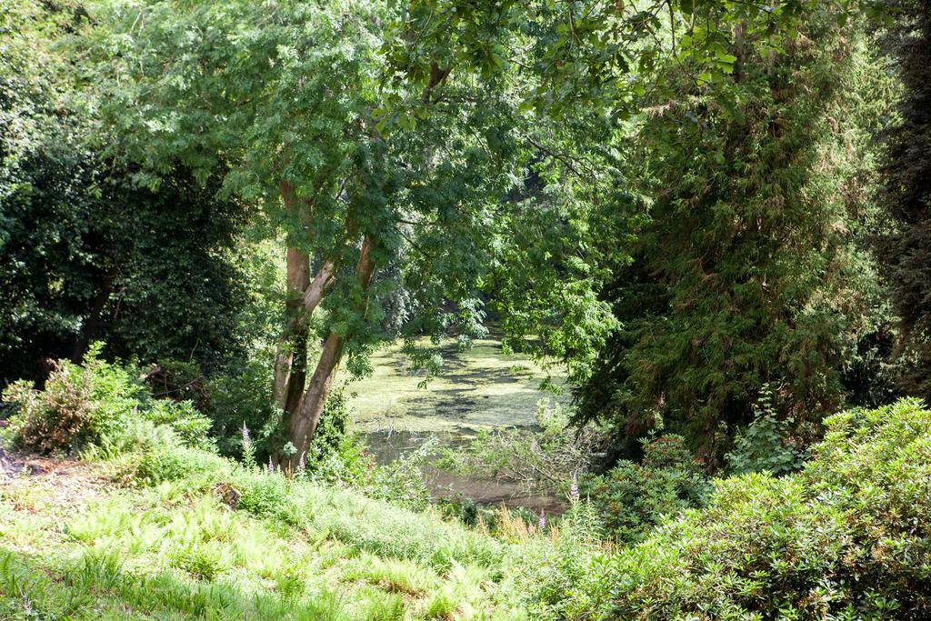 Langrish House Bed and Breakfast Πίτερσφιλντ Εξωτερικό φωτογραφία
